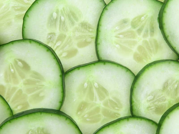 Extrato de Pepino