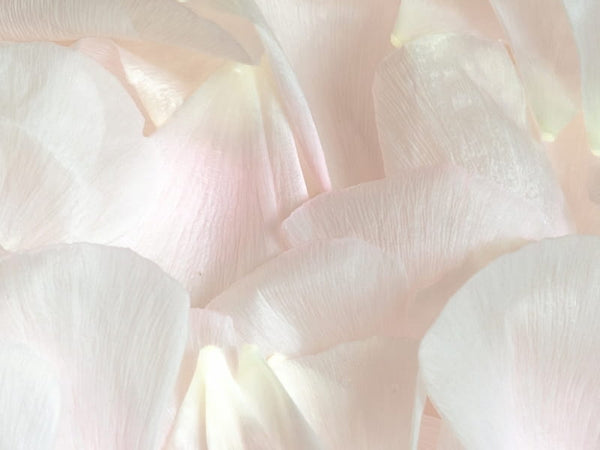 Extrato de Rosas